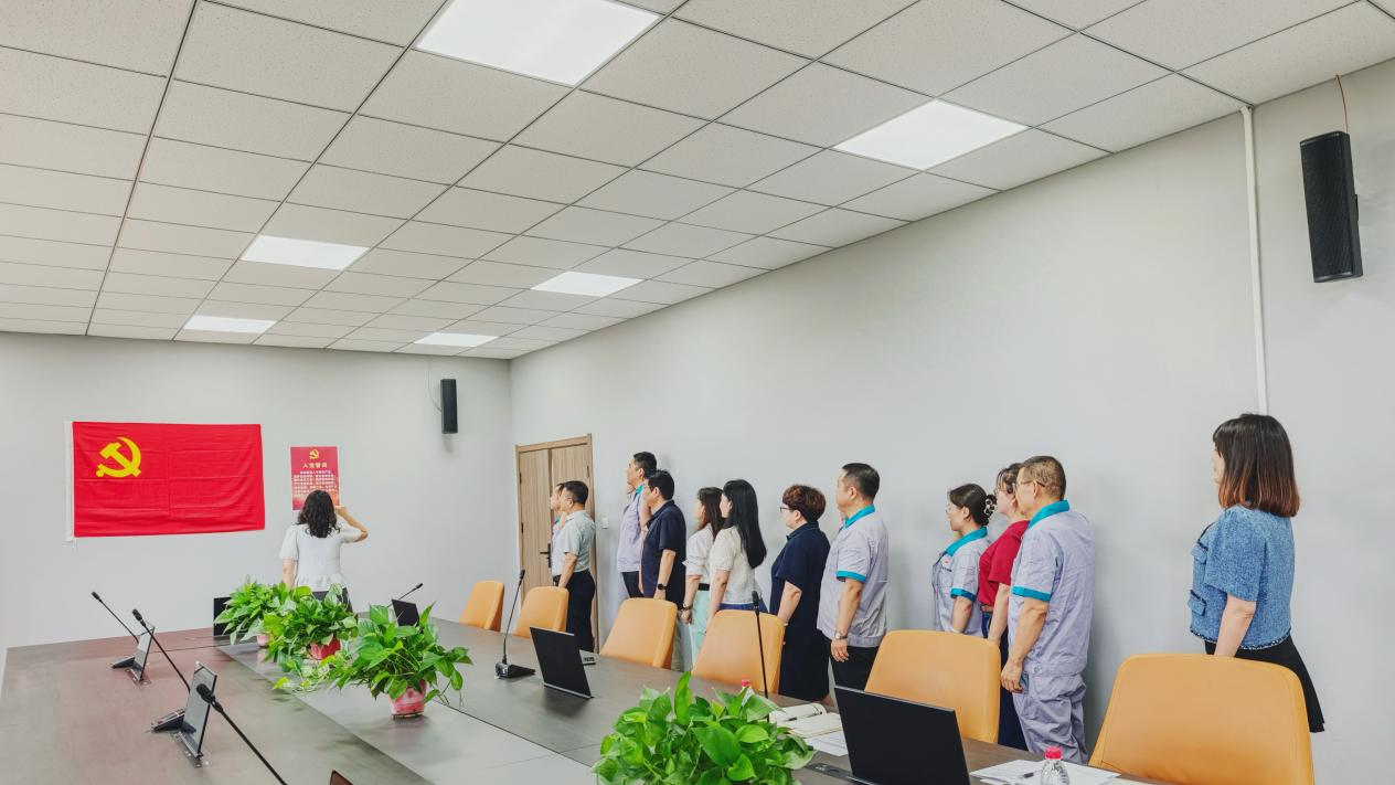 系统部署党建工作 全面凝聚奋进力量——集团公司党委召开三届十一次全委（扩大）会议暨2024-2025年度表彰大会、党员宣誓活动