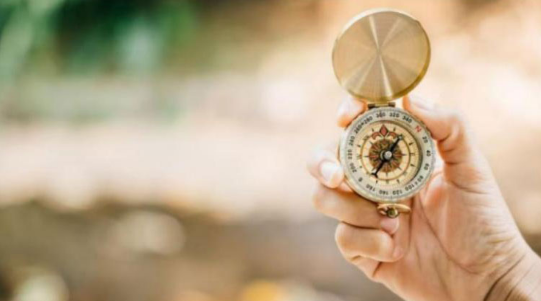 《证券时报》报道 | 陕西金叶：前三季度双主业稳健发展 多元布局积蓄成长新动能